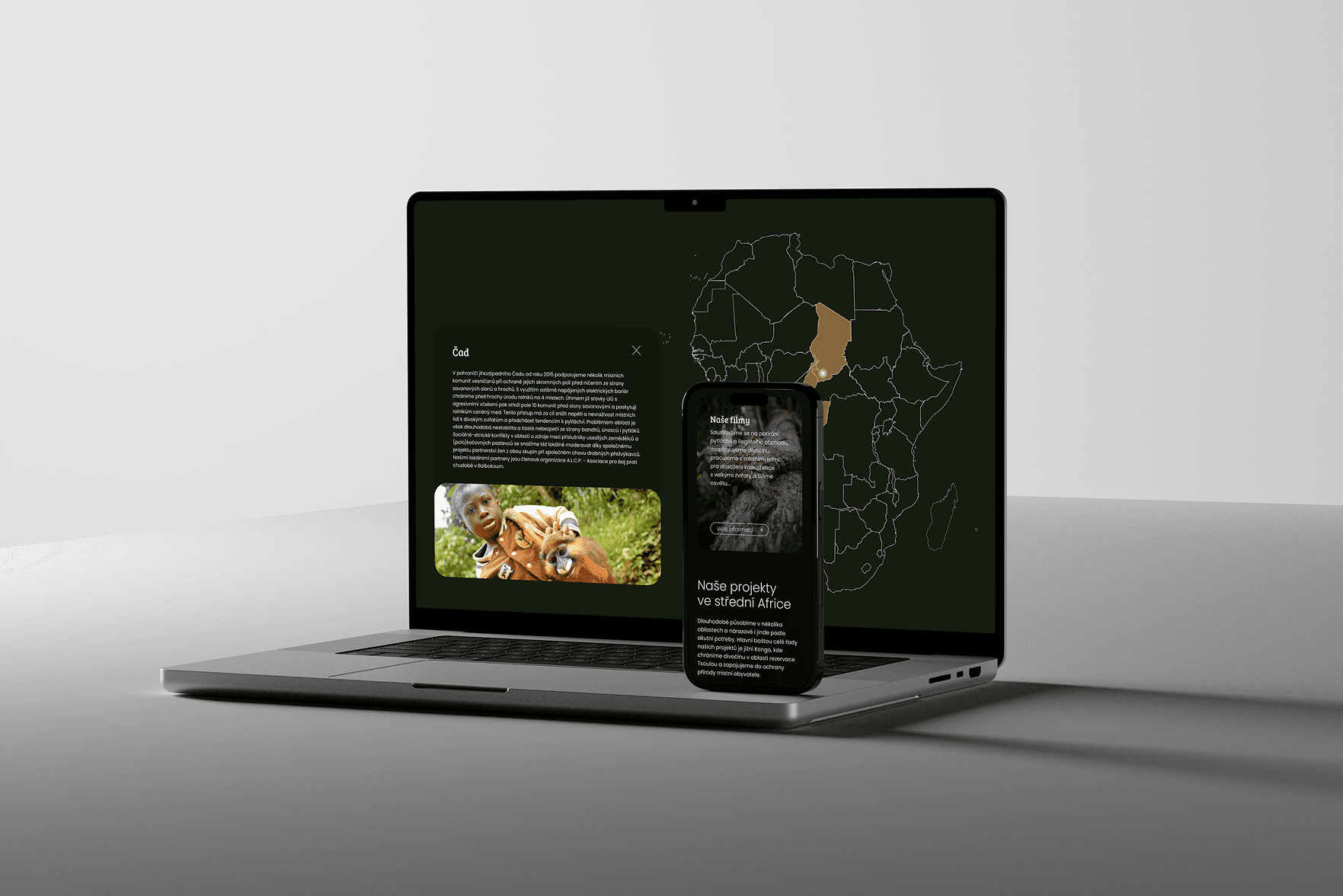 Save Elephants - Showcase 4