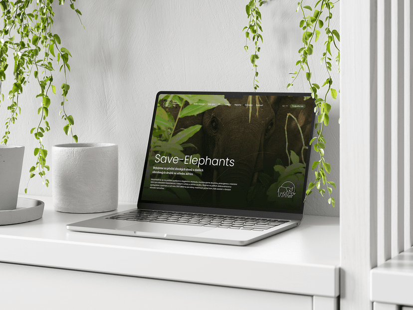 Save Elephants - Showcase 6